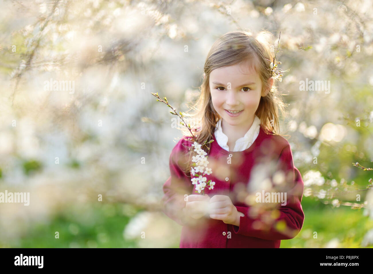 Adorable little girl in blooming cherry garden on beautiful spring day ...