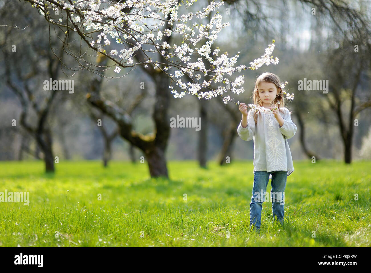 Adorable little girl in blooming cherry garden on beautiful spring day ...