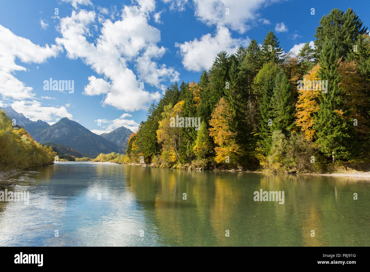 The river Lech with autumnal forest near the Ziegelwiesen, Füssen, Bavaria, Germany Stock Photo