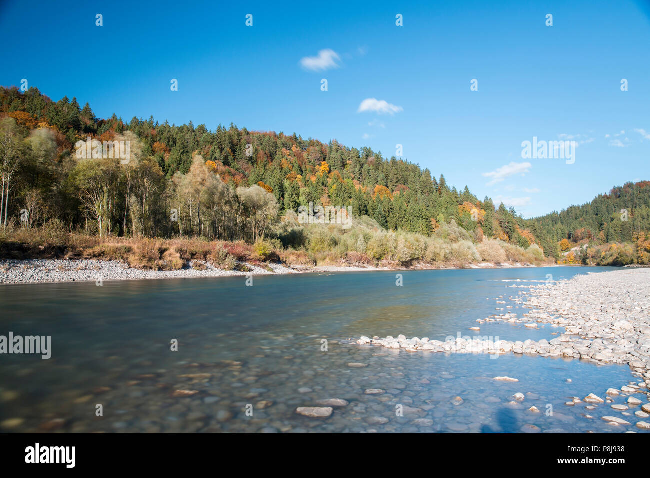 The river Lech with autumnal forest near the Ziegelwiesen, Füssen, Bavaria, Germany Stock Photo