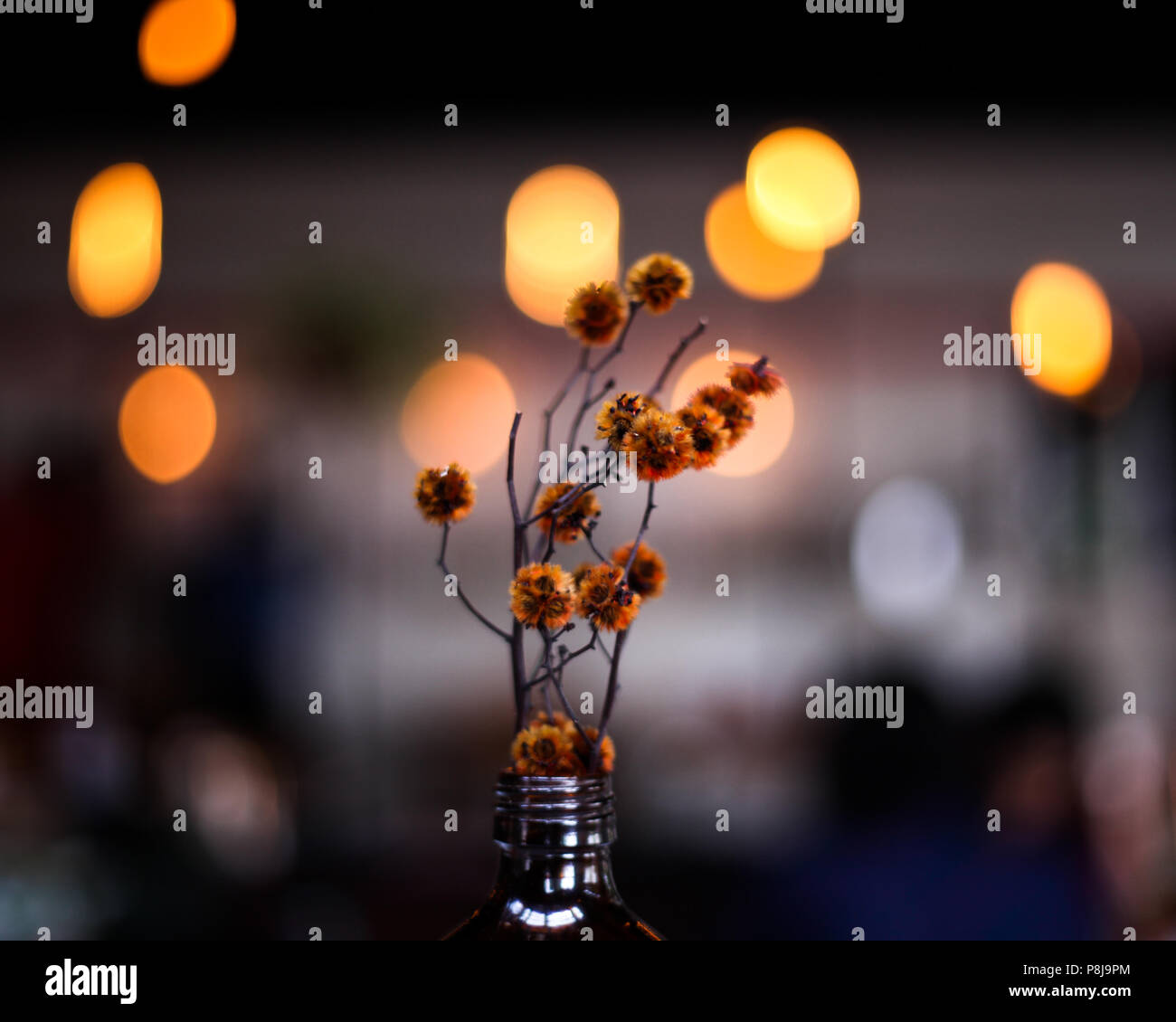 Aesthetic bokeh hi-res stock photography and images - Alamy