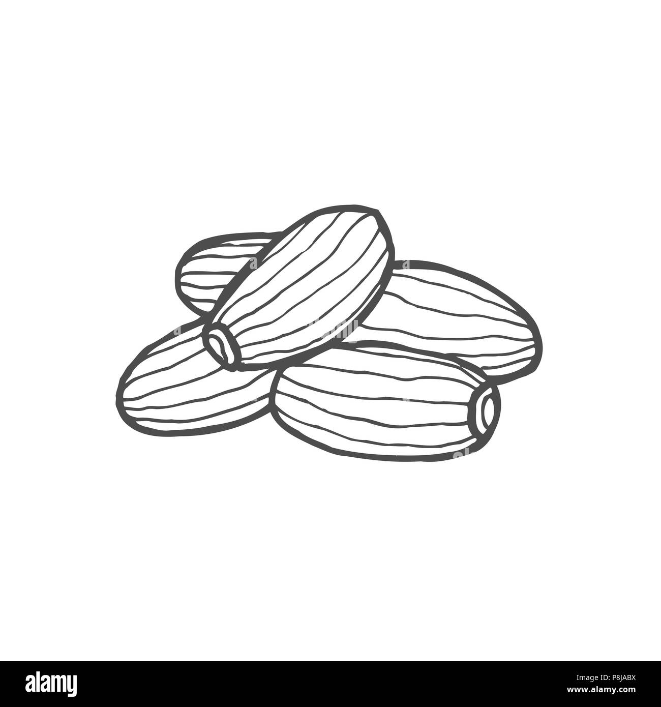 Dried fruits. Vector illustration of dates. Vector illustration Stock