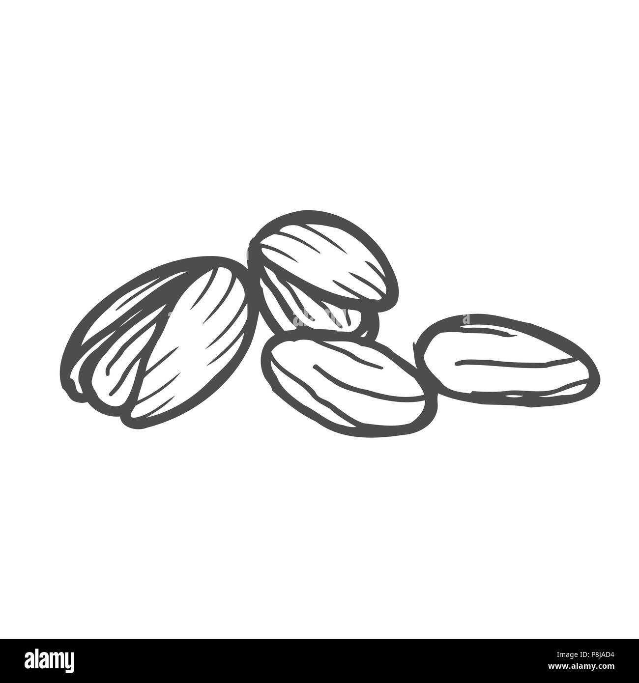 Hand drawn pistachios set. Open and fried fresh organic food. Singles and group. Nuts vector illustrations isolated on white background. Stock Vector