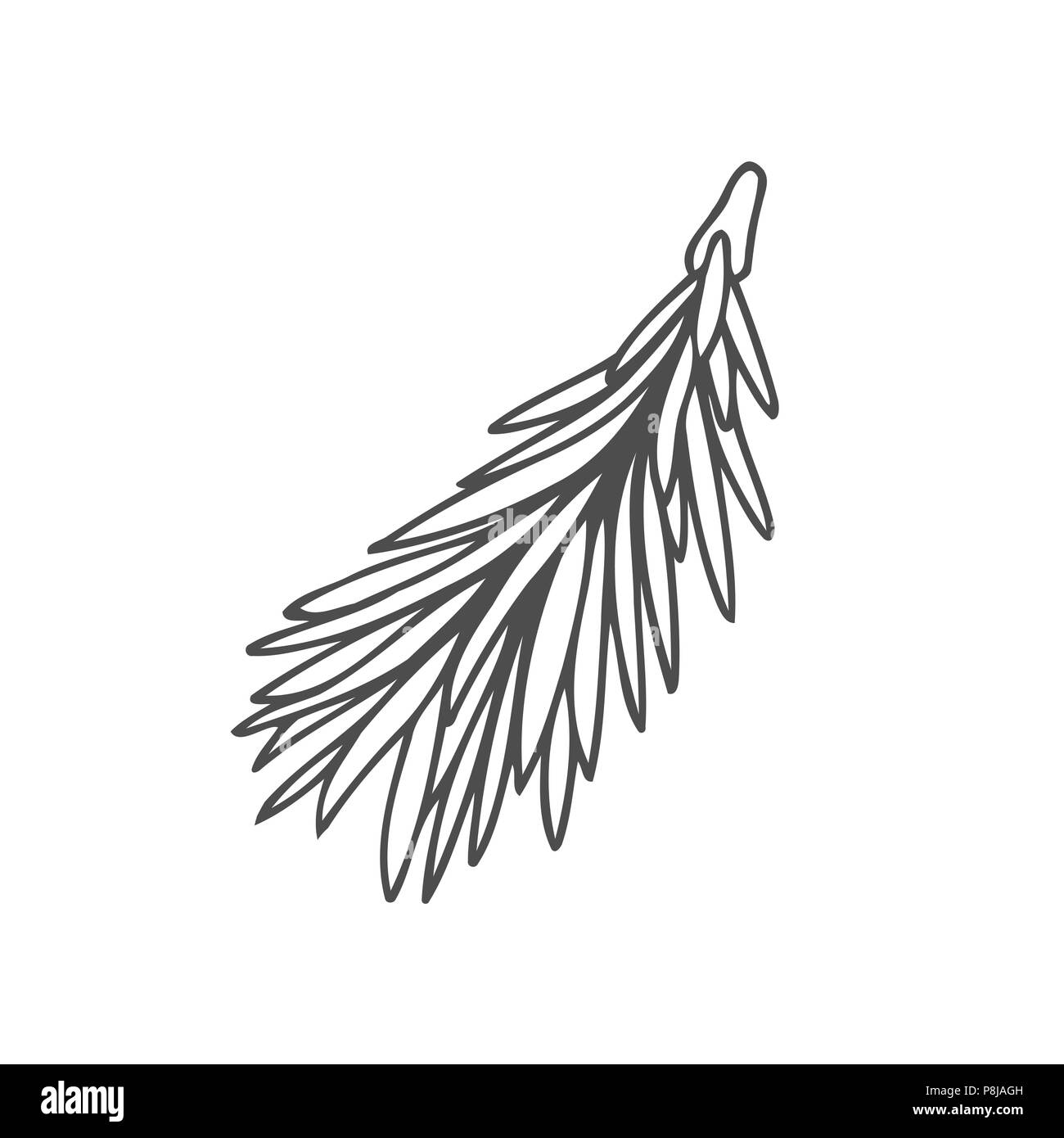 Hand Drawn Pine Tree Branch Isolated On White Background Ink Illustration In Vintage Engraved Style Stock Vector Image Art Alamy