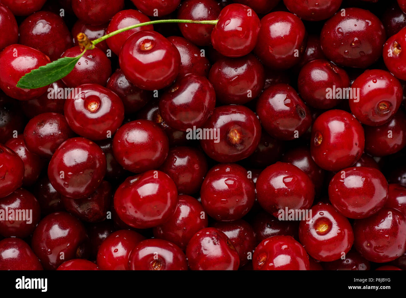 Pulpy texture hi-res stock photography and images - Alamy