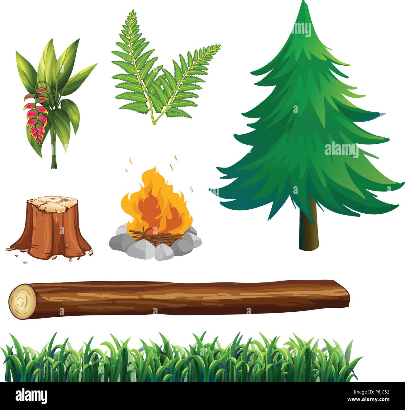 A Set of Forest Element illustration Stock Vector Image & Art - Alamy