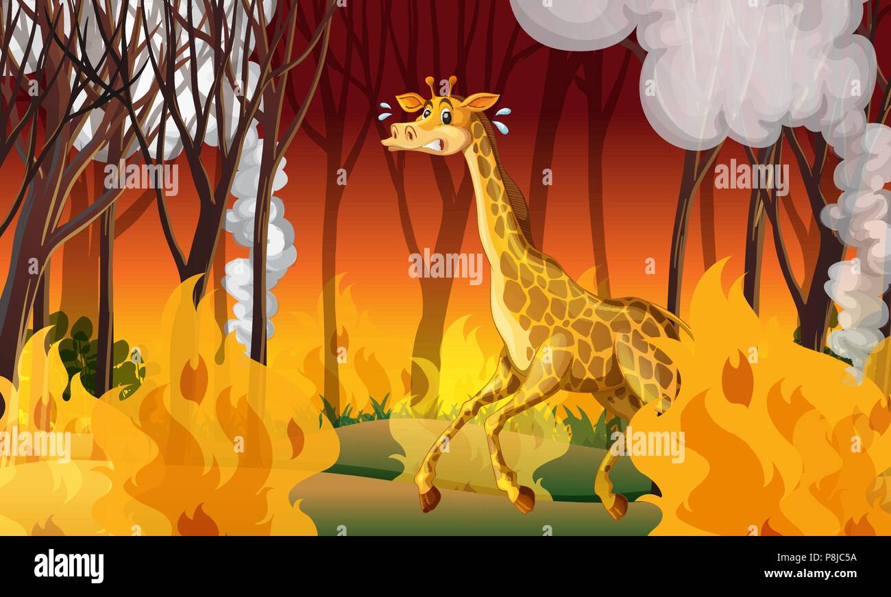 Giraffe Running Away From Firewild illustration Stock Vector Image ...
