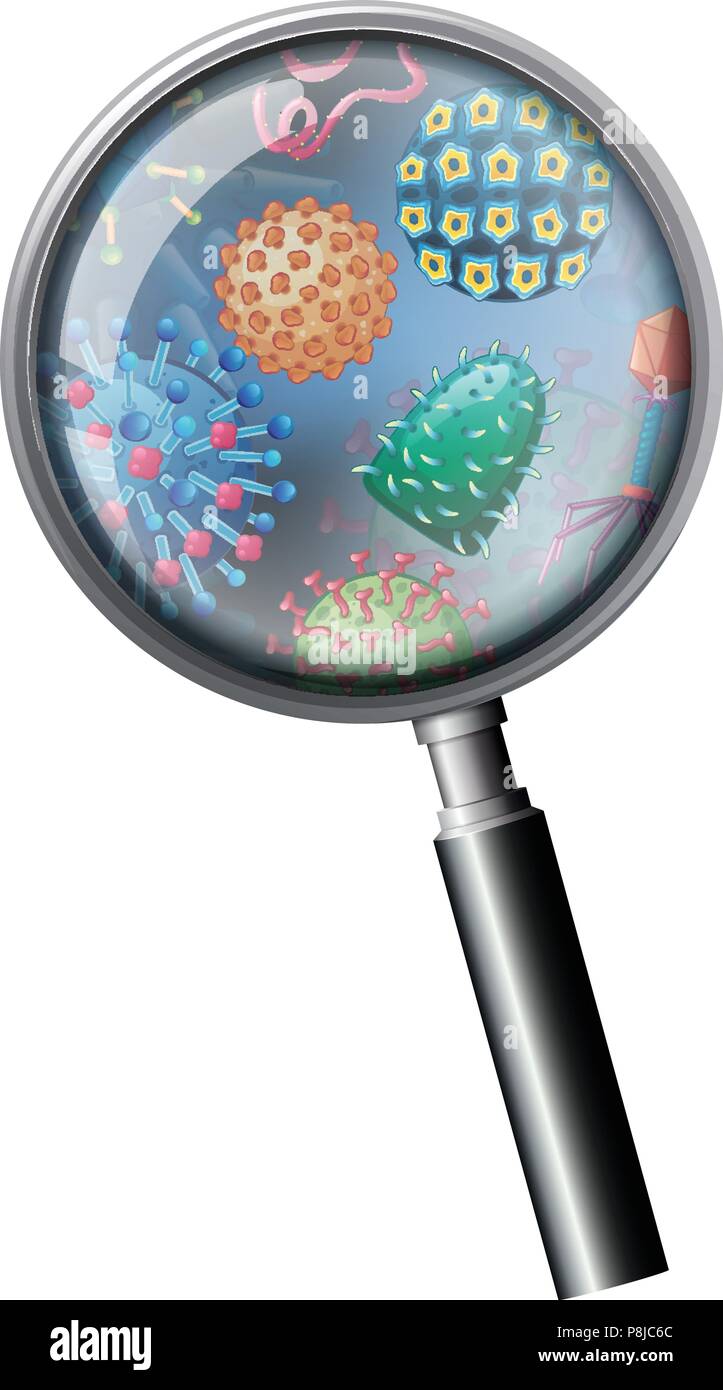A Closeup Bacteria on Magnifying Glass illustration Stock Vector Image ...