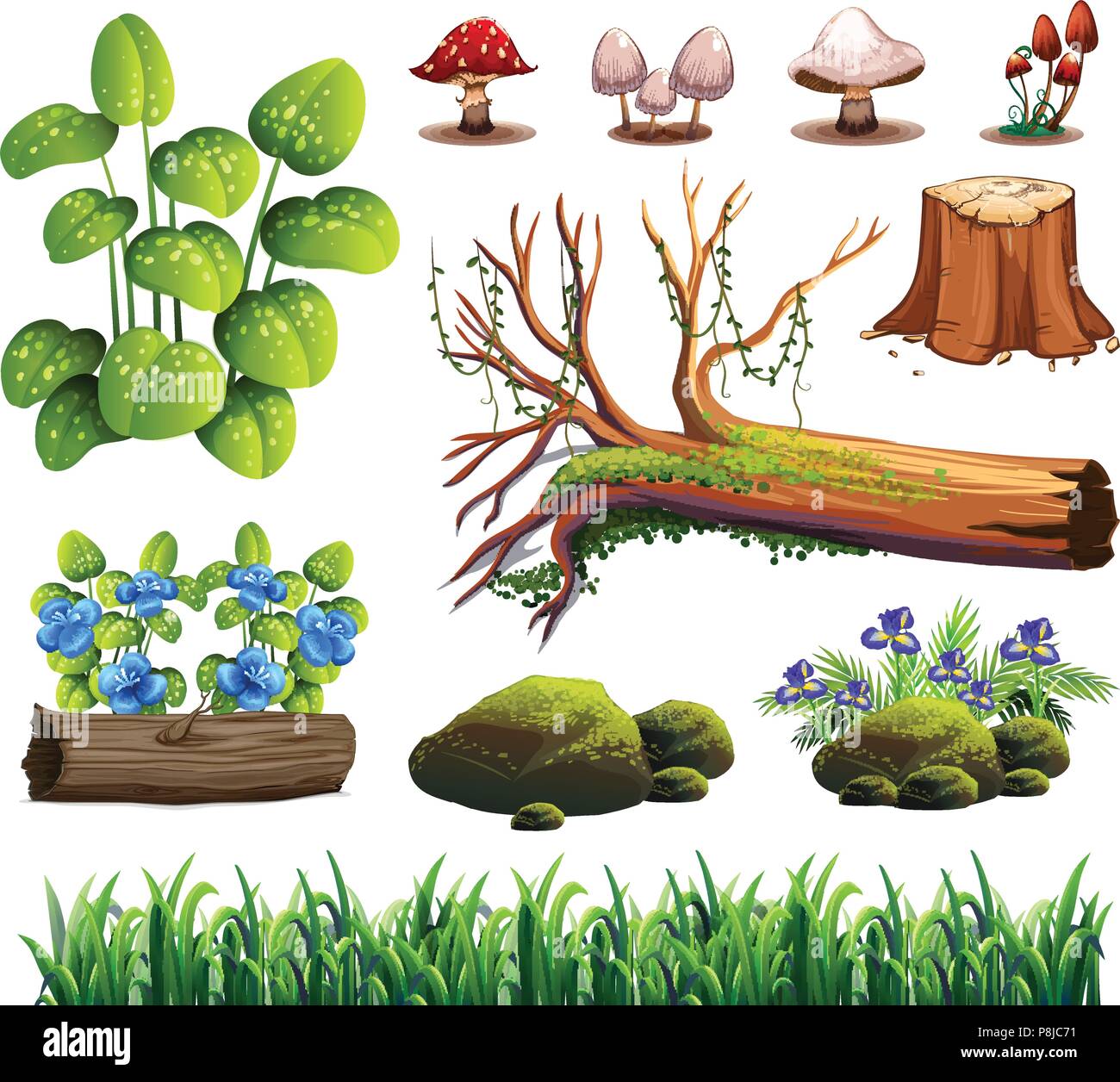 A Set of Forest Element illustration Stock Vector Image & Art - Alamy