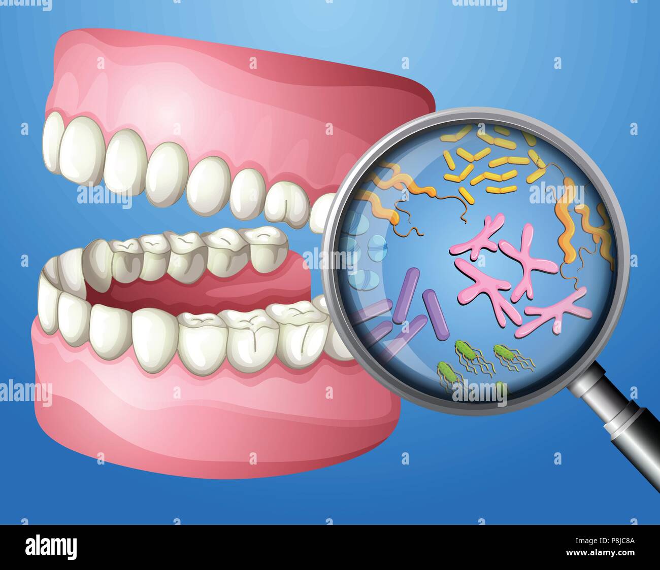 A Close-up Oral Bacteria illustration Stock Vector