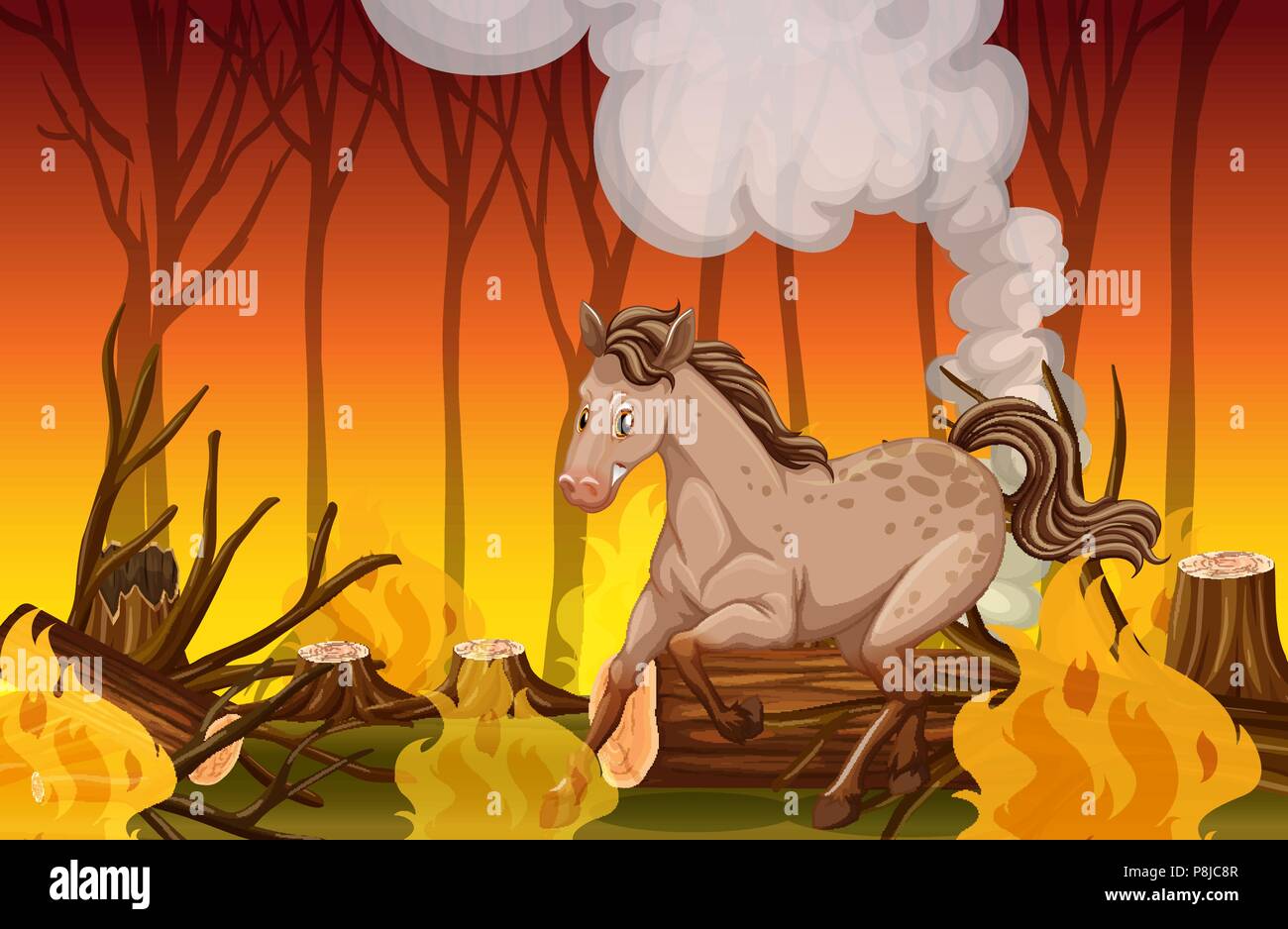 Animal running forest fire hi-res stock photography and images - Alamy Animal running forest fire hi-res stock photography and images - Alamy