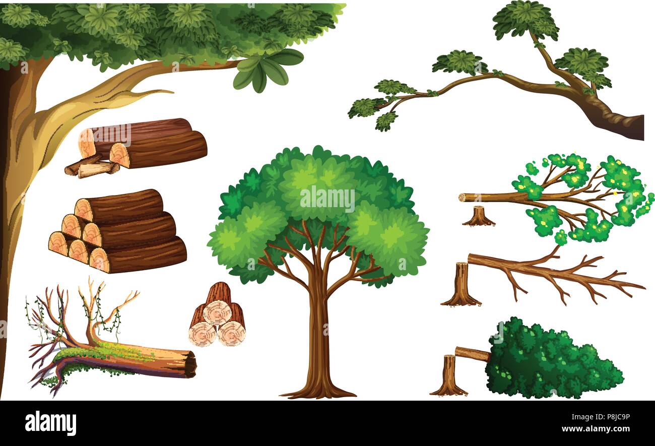A Set of Cutting Tree illustration Stock Vector Image & Art Alamy