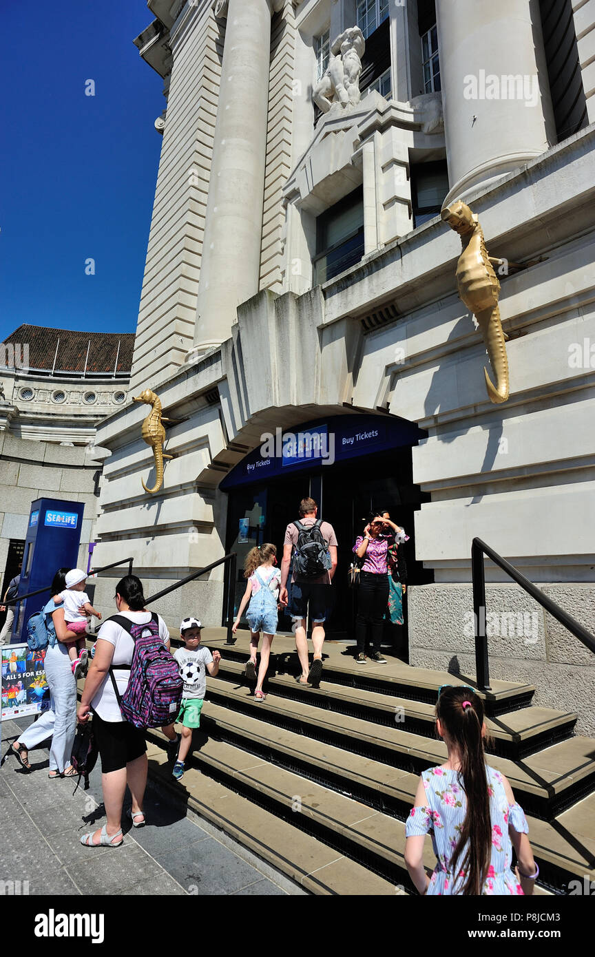 Sea life london aquarium hi-res stock photography and images - Alamy