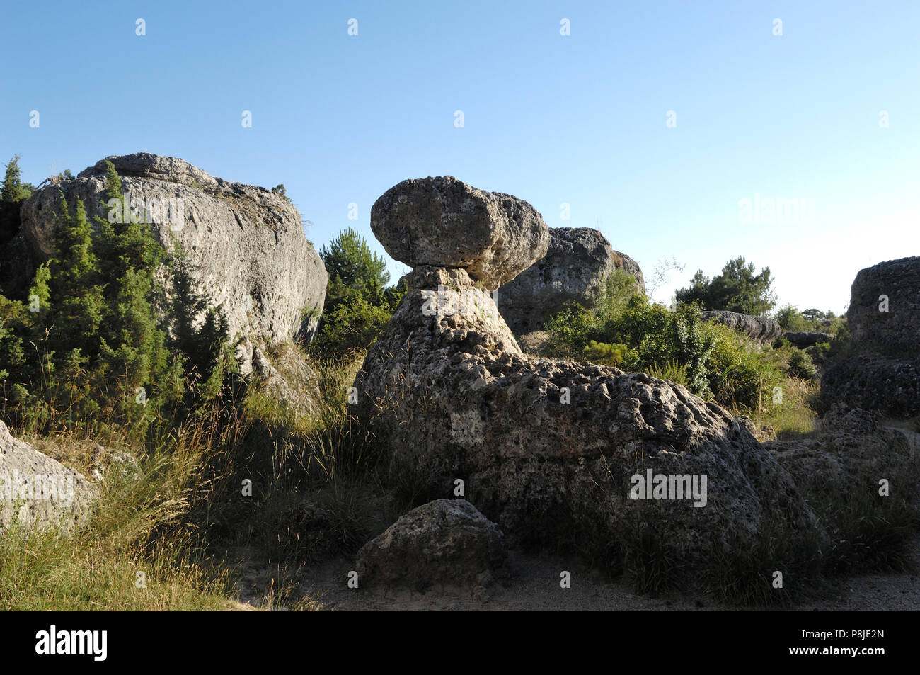 Enchanted Forest (Bosque Encantado La Foca) Cuenca; La Mancha, Spain