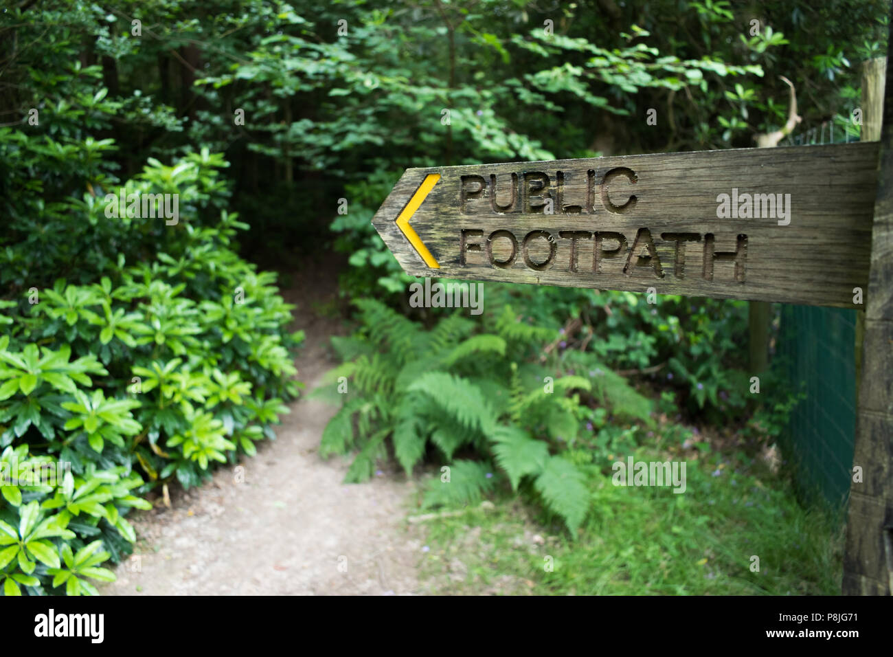 Wooden fingerpost public footpath sign pointing towards a path that goes off into a wood, in West Sussex, England, UK. Stock Photo