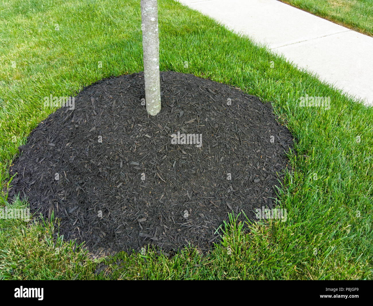 Mulching around tree hires stock photography and images Alamy