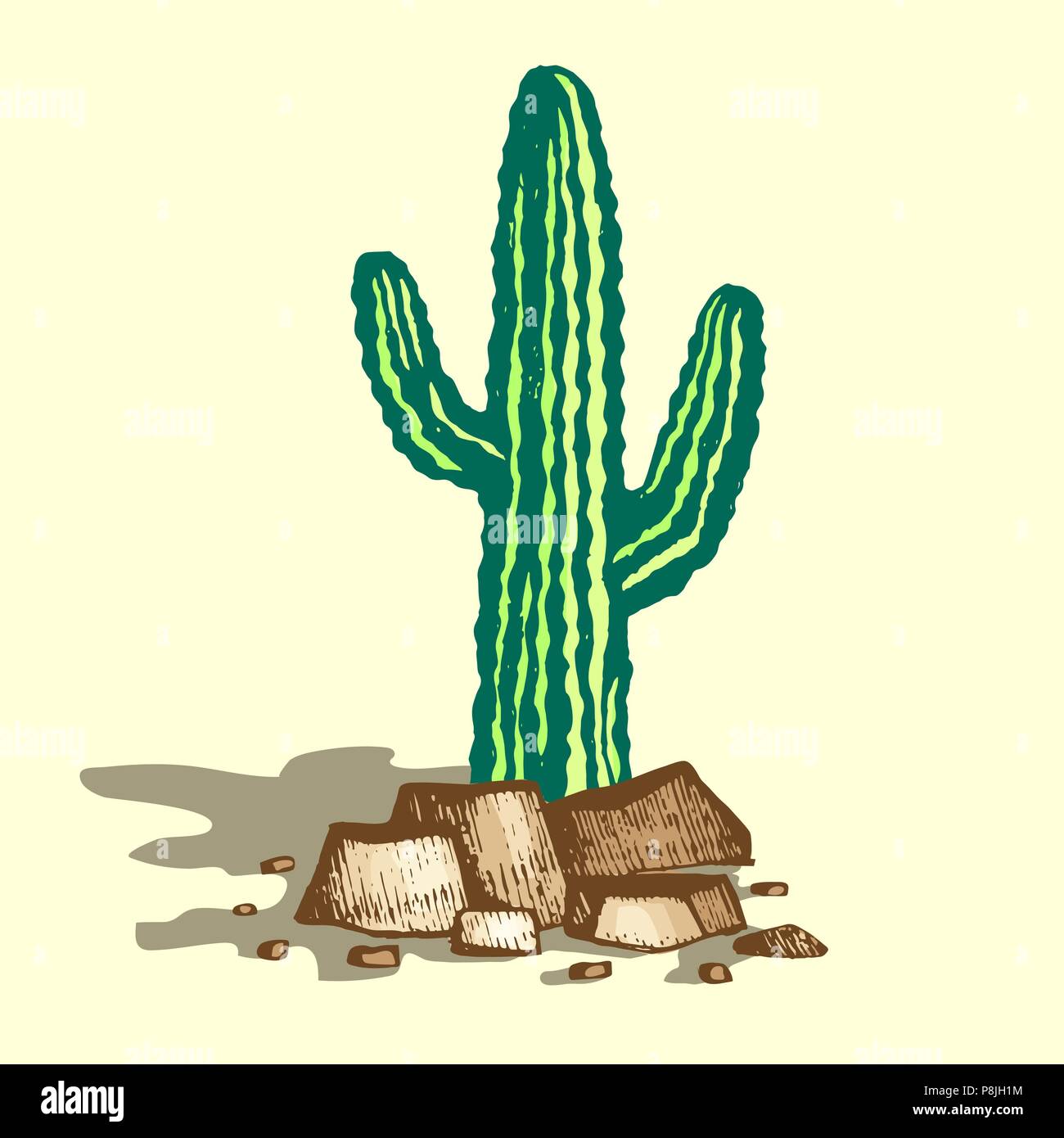Lonely cactus illustration Stock Vector