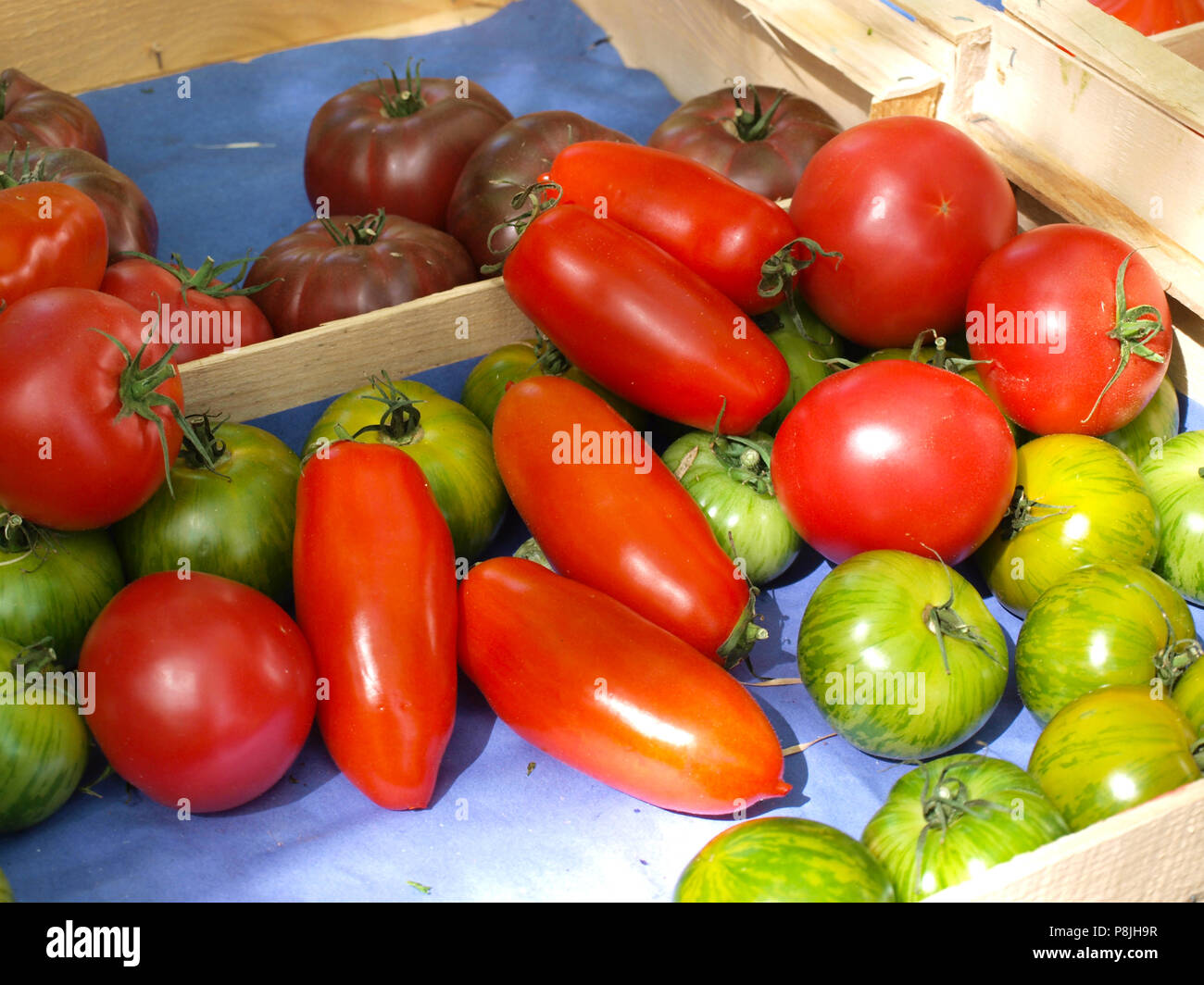 glossy red and green tomatoes Stock Photo