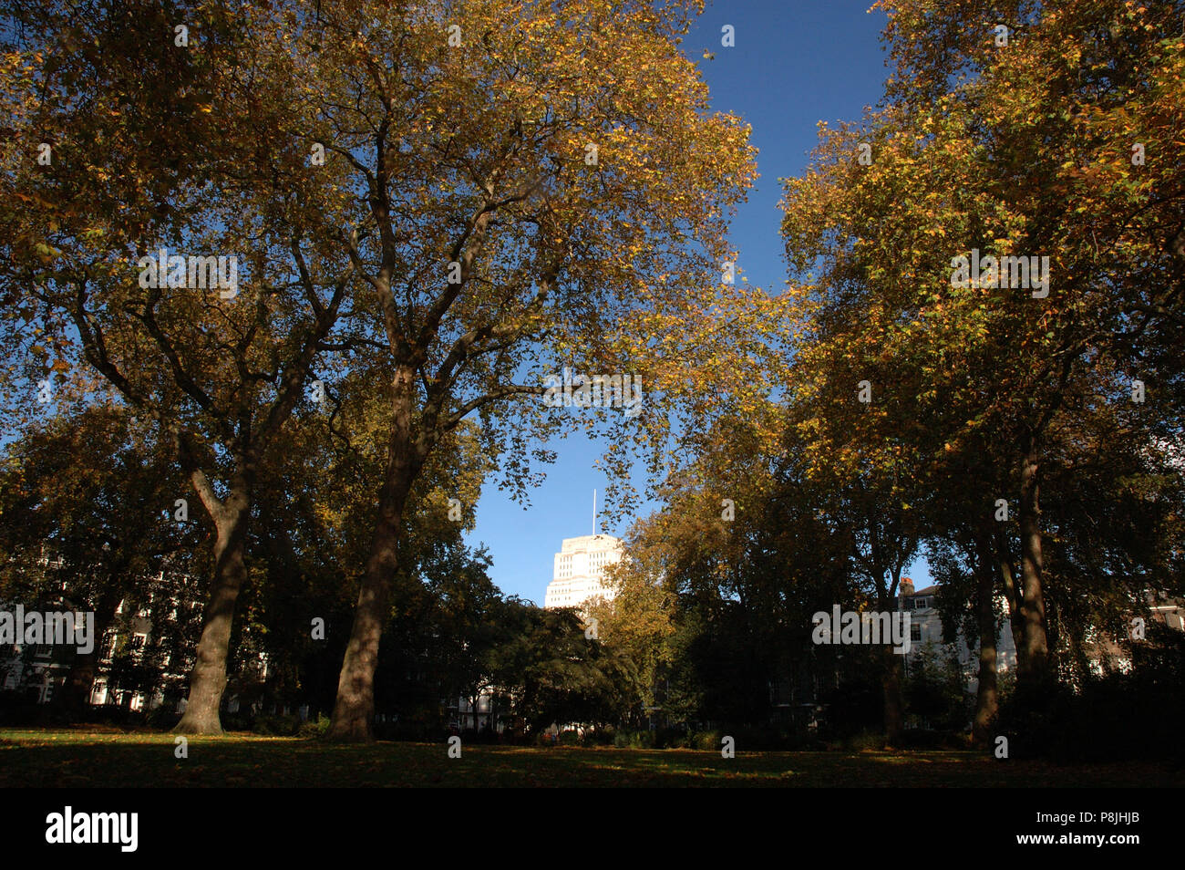 Autumn colours in Bedford Square (senate house of university of London