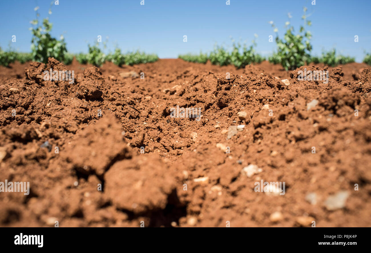 Unique red soil rich in clay and limey rock at Tierra de Barros wine-making region, Extremadura, Spain Stock Photo