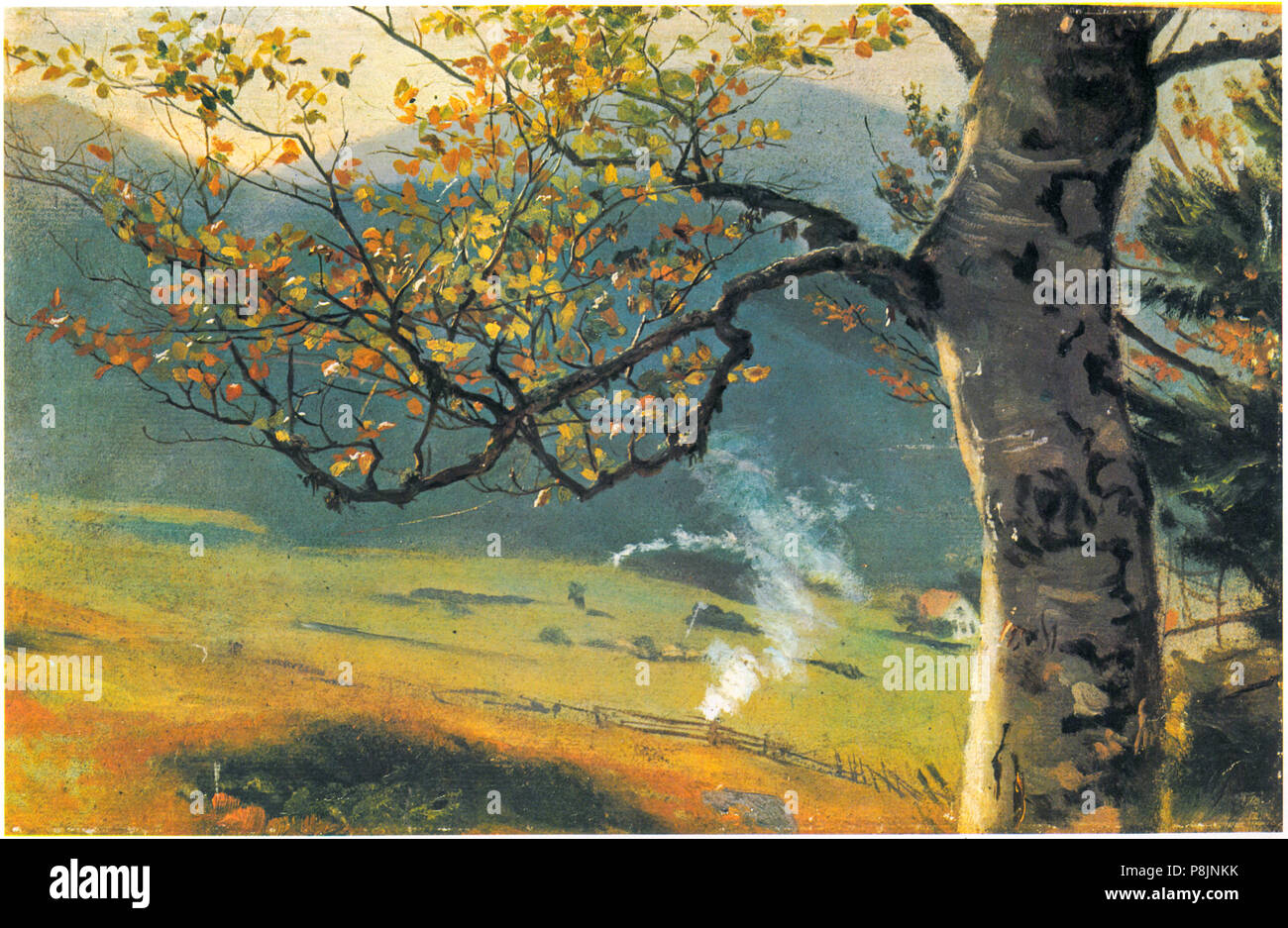 Baum im Herbst vor Wiesental um 1862/63 Öl auf Leinwand 24,4 x 38,5 555  Hans Thoma 03 Stock Photo - Alamy