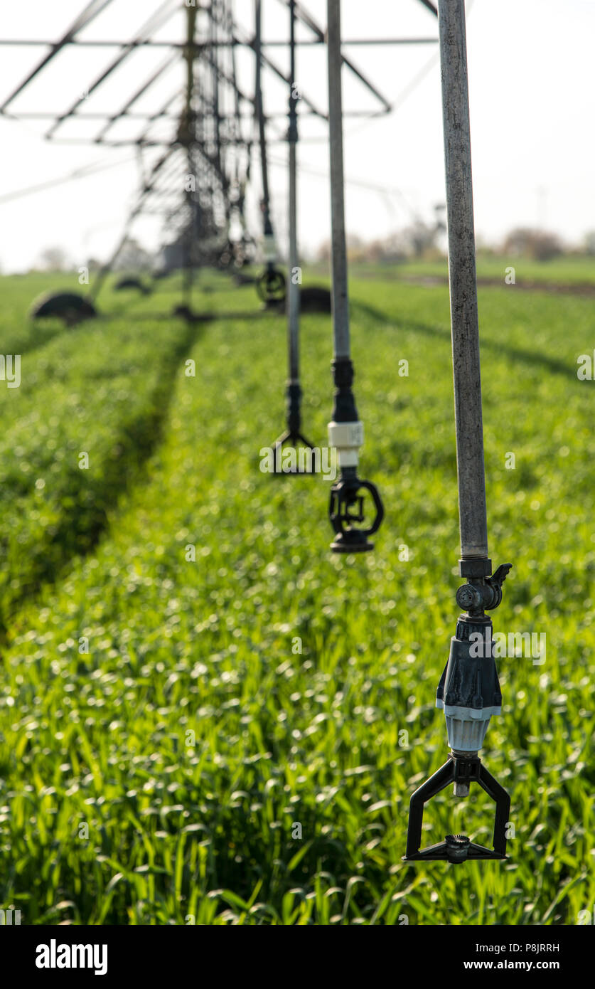 Lateral move irrigation system Stock Photo - Alamy