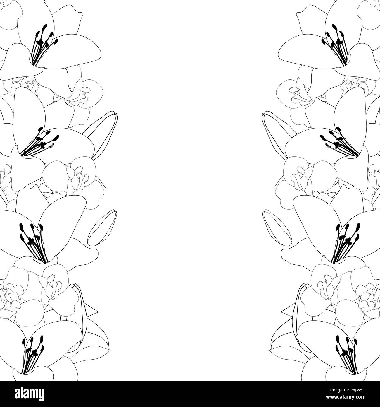 Lily and Iris Flower Outline Border on White Background. Vector ...
