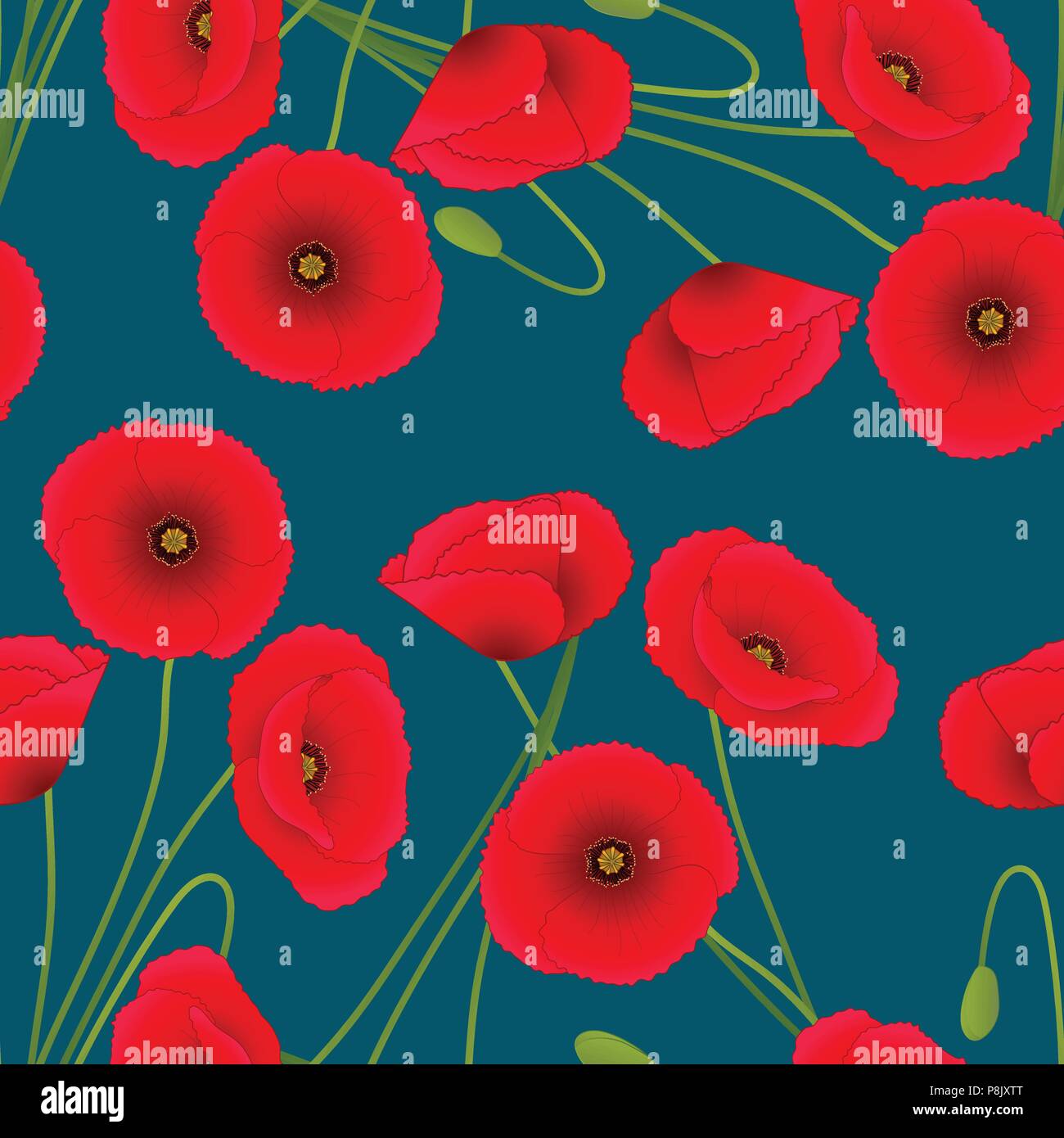 Red Corn Poppy on Indigo Blue Background. Vector Illustration. Stock Vector