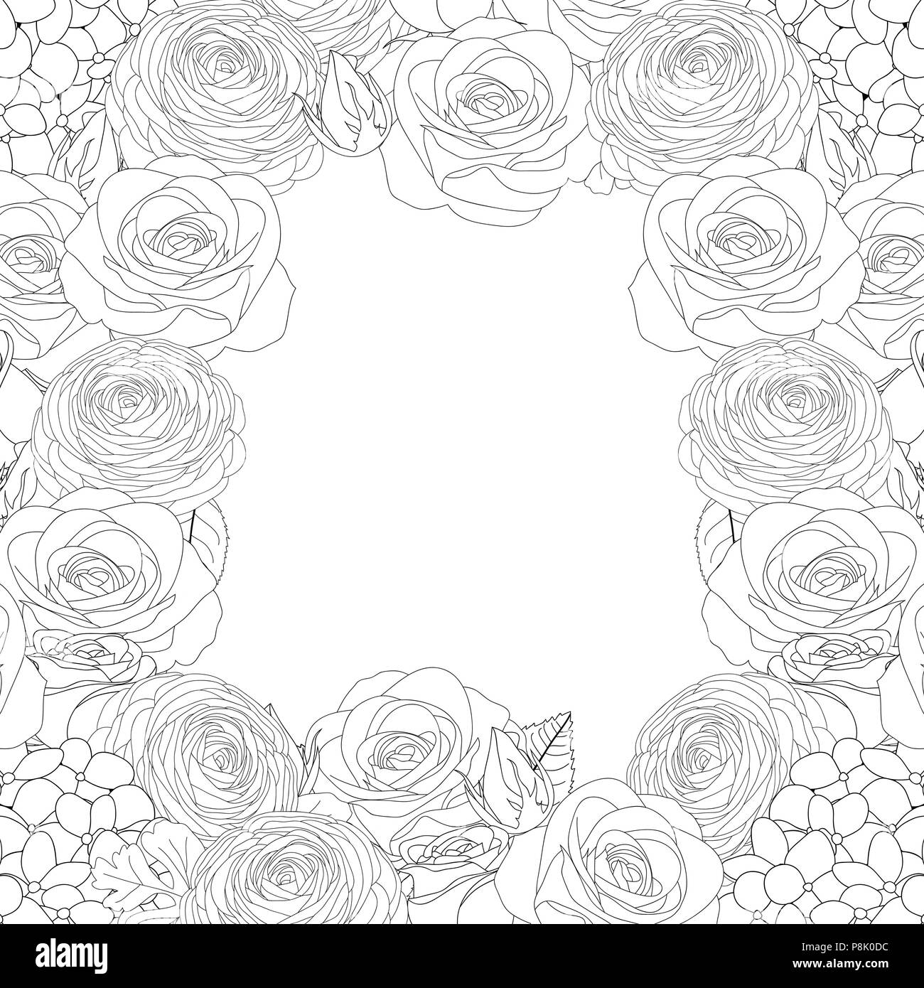 Rose, Hydrangea and Ranunculus Outline Border. isolated on White Background. Vector Illustration. Stock Vector