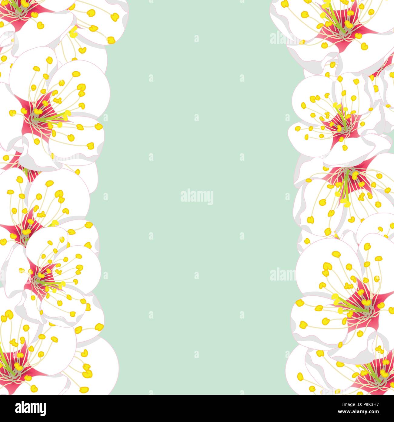 White Plum Blossom Flower Border isolated on Green Mint Background