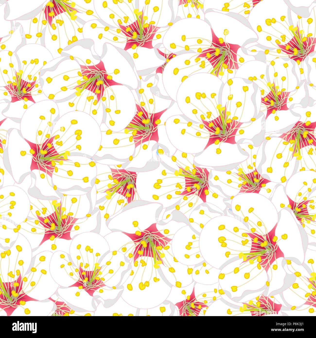 White Plum Blossom Flower Seamless Background. Vector Illustration. Stock Vector