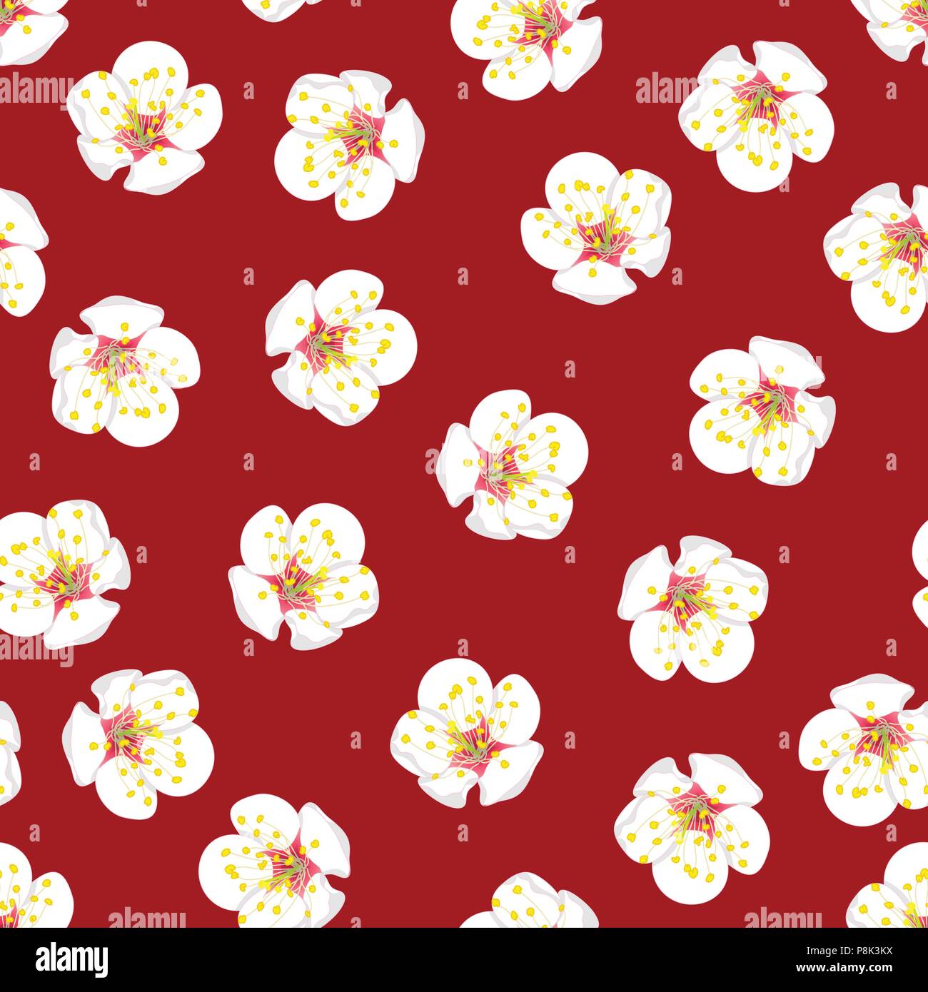 White Plum Blossom Flower Seamless on Red Background. Vector Illustration. Stock Vector