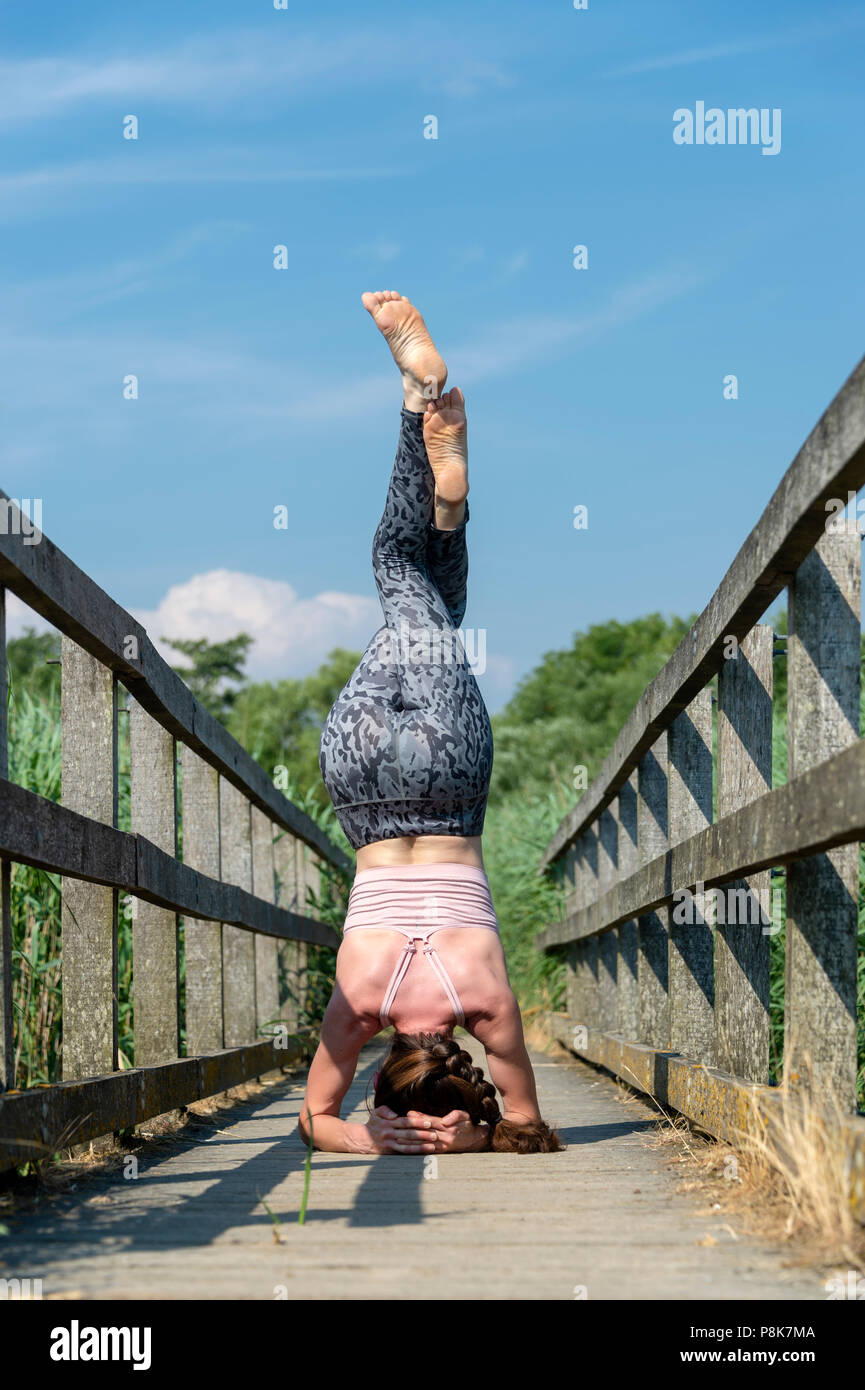 Eagle legs hires stock photography and images Alamy