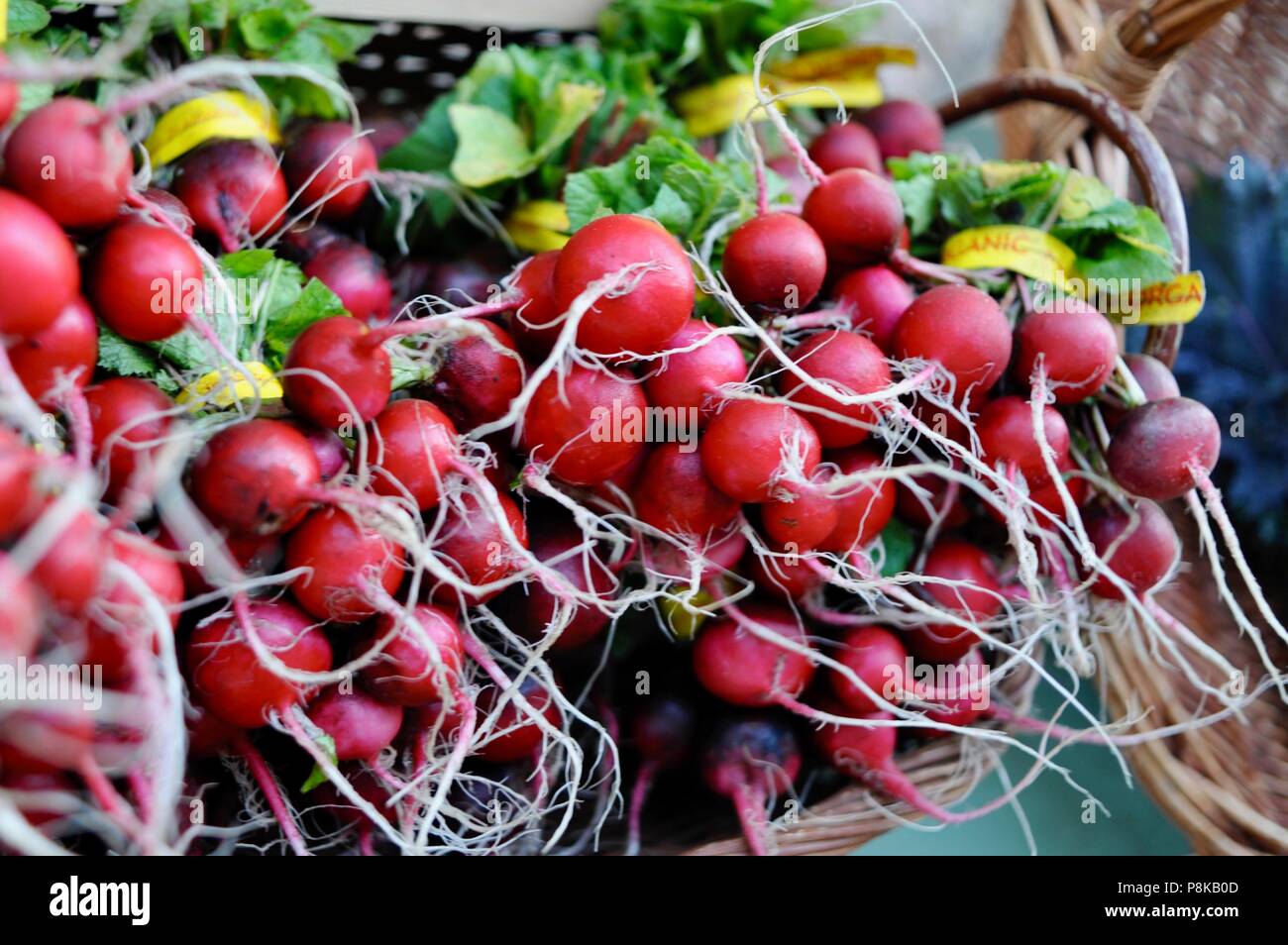 11 Types of Radishes You'll See at the Farmers Market This Year – Produce  Pack