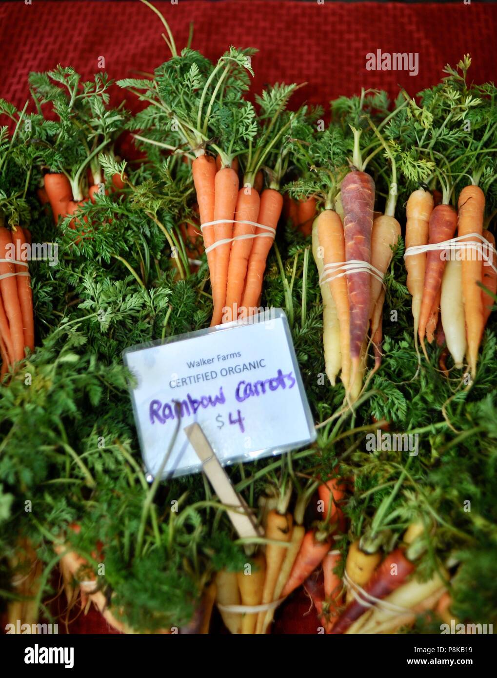 Tidy bundles of rainbow carrots (multicolored) at the Walker Farms farmstand for sale at farmers market in Savannah, Georgia, USA Stock Photo