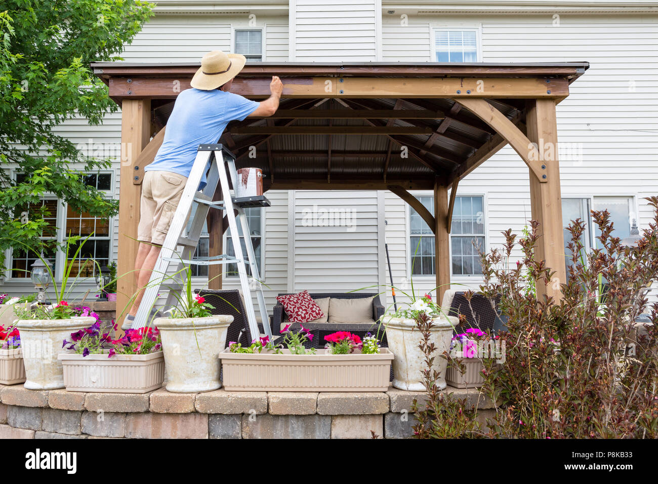 Man staining a backyard wooden gazebo behind his house standing on a ladder viewed over flowerpots on a wall on the patio Stock Photo