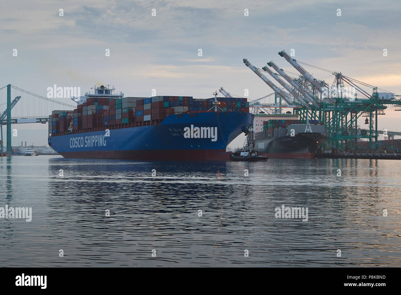 The Departing COSCO SHIPPING, CSCL AUTUMN, Left, And The Evergreen