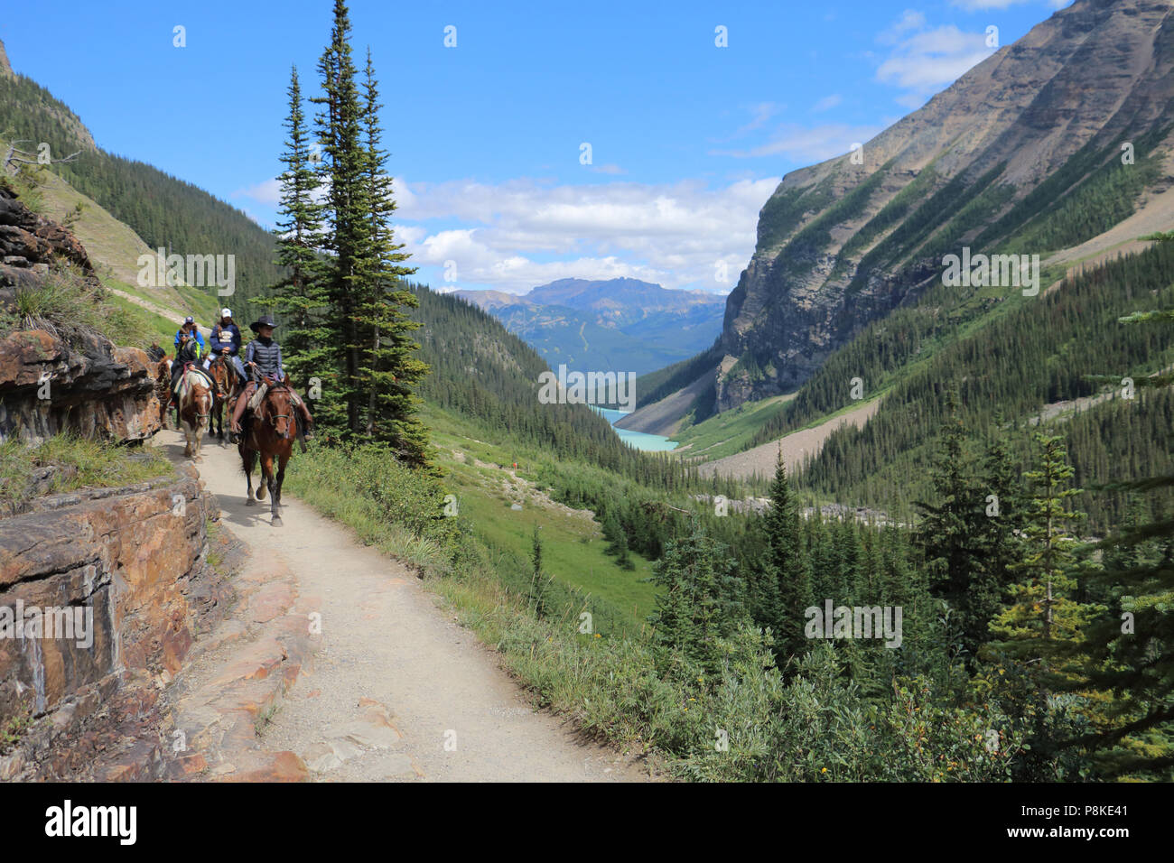 "Teahouse Hike" Near Lake Louise, Banff National Park, Alberta