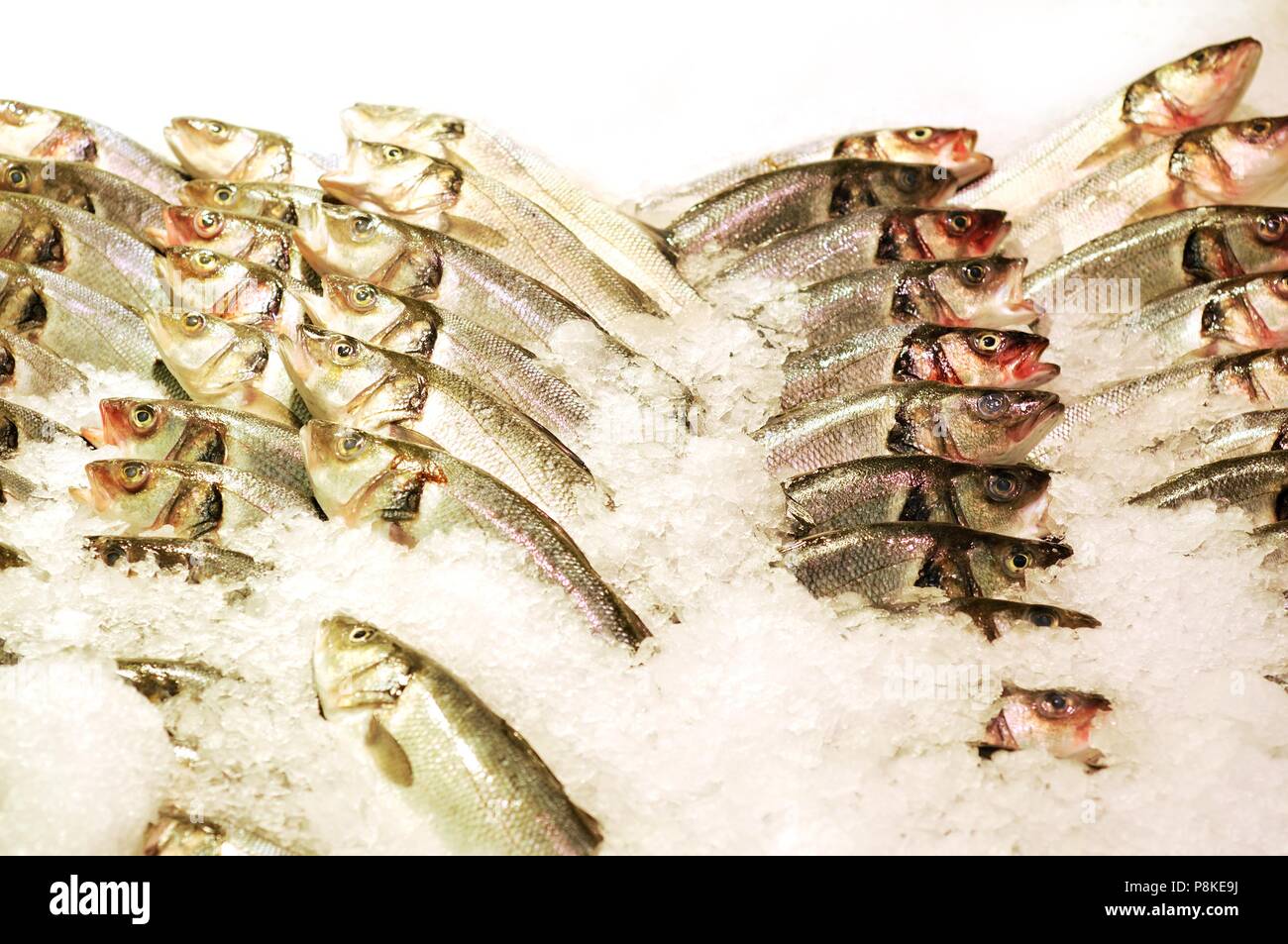 Fresh sea bream fish sale hires stock photography and images Alamy