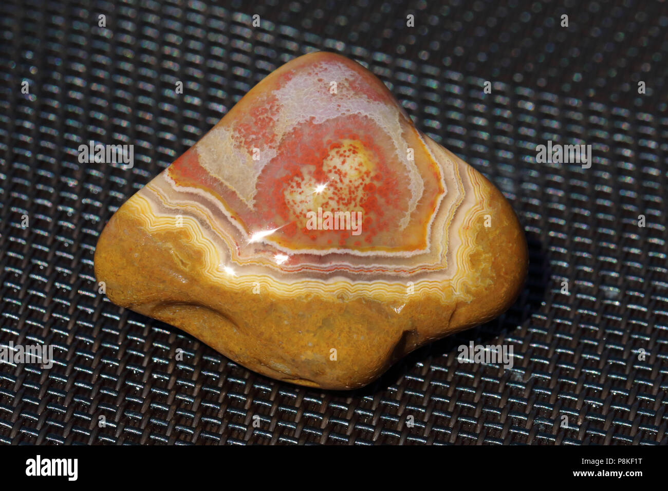 Fairburn agate, collected on the Buffalo Gap National Grasslands of South Dakota, United States