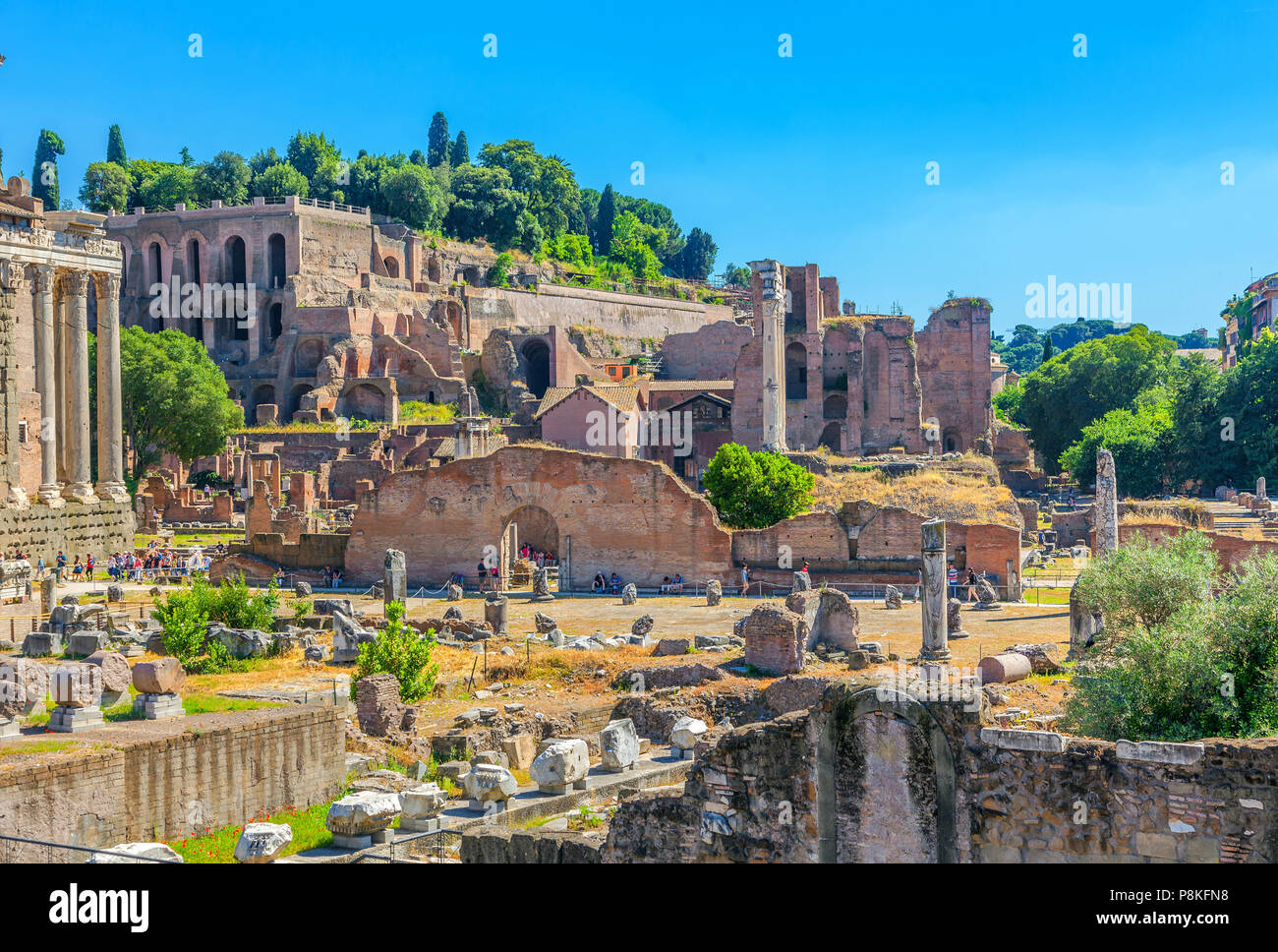 Roman forum. Ruins of ancient civilization. Stock Photo