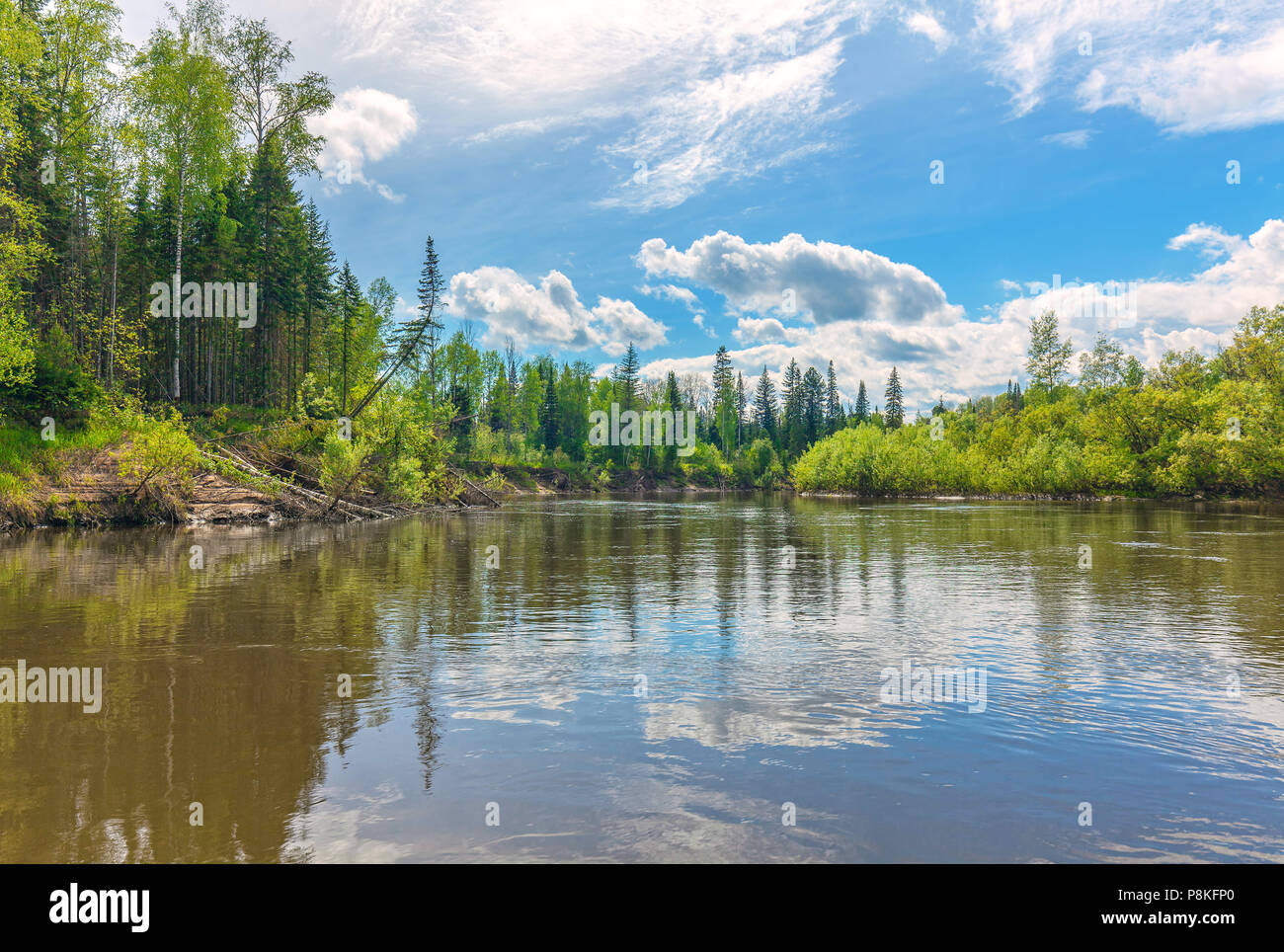 Beautiful summer landscape with Siberian nature. River Chet in the Tomsk region. Stock Photo