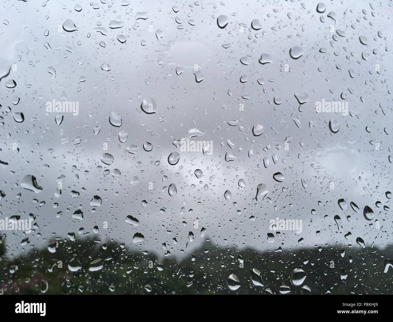 rain drops on a glass window Stock Photo - Alamy