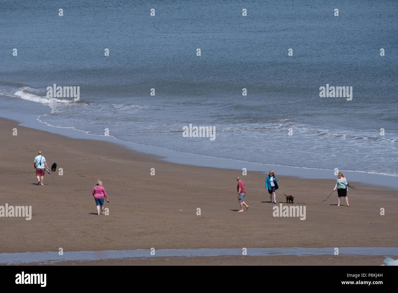 Dog walking and playing on the beaches of North Yorkshire Stock Photo