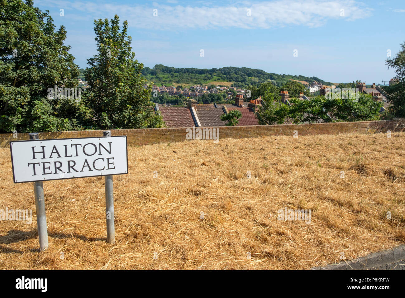 Hastings, East Sussex, UK. 12th July 2018. Drought like conditions with parched grass verges in Halton Terrace, due to the on going heat wave with no rain. Stock Photo