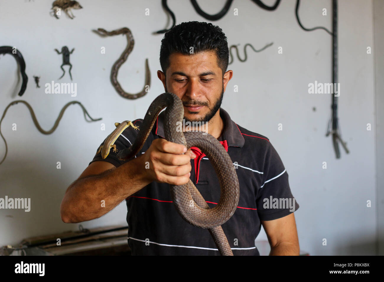 Abdel Fattah seen holding a snake in his home. Abdel Fattah Issa