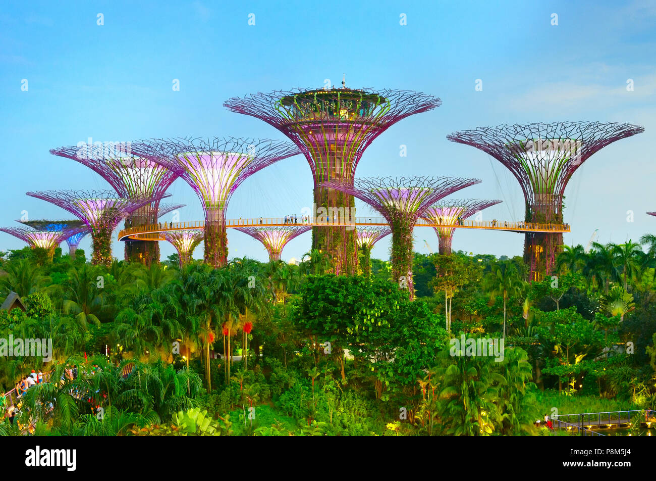 SINGAPORE - JAN 15, 2017: Twilight view of Gardens by the Bay. Gardens by the Bay was crowned World Building of the Year at the World Architecture Fes Stock Photo