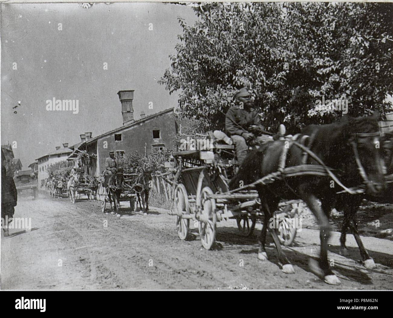. 572 Verwundeten Transport im Wippachtal.7.9.17. (BildID 15603518 ...