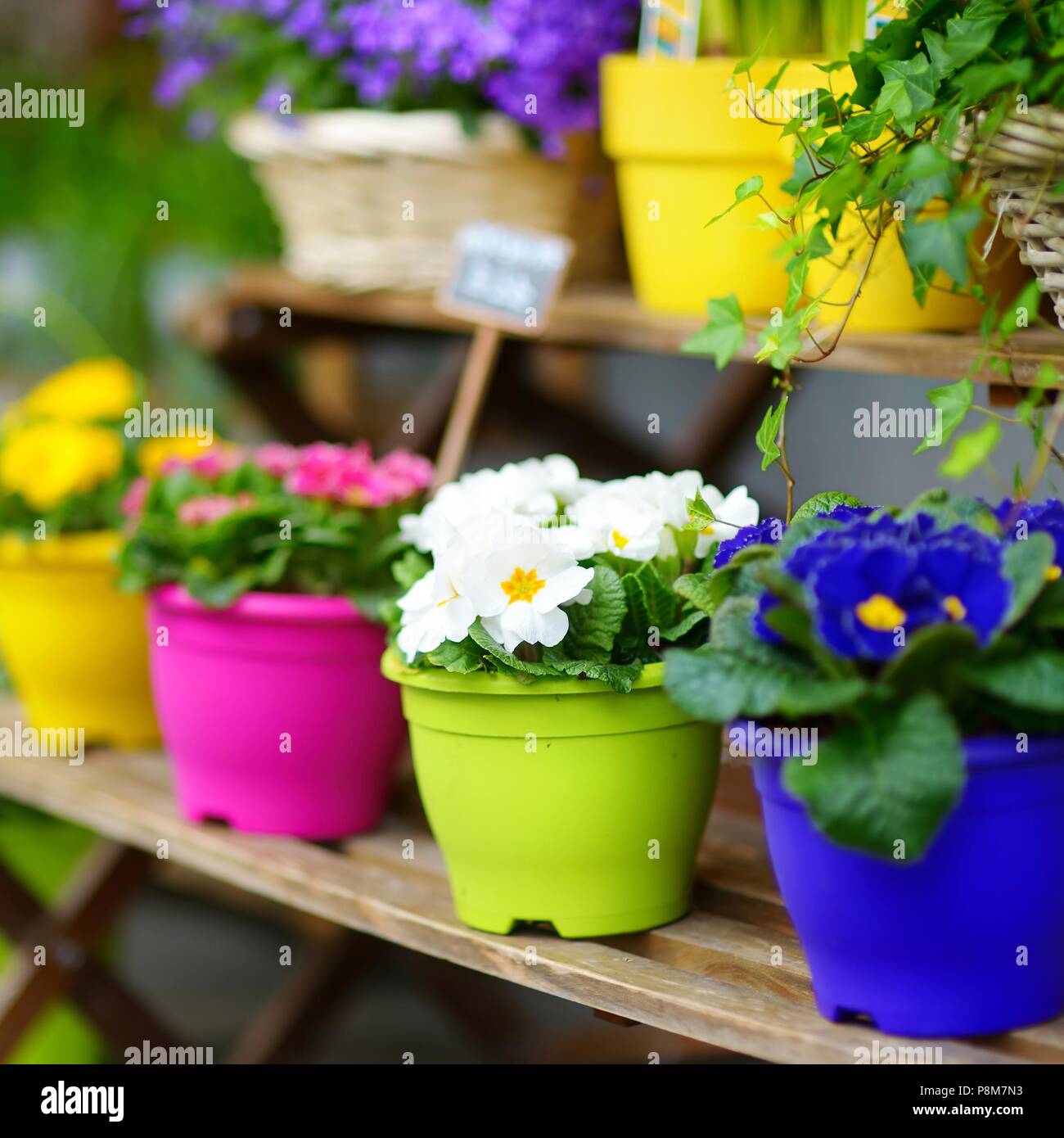 Beautiful colorful flowers sold on outdoor flower shop in Paris, France