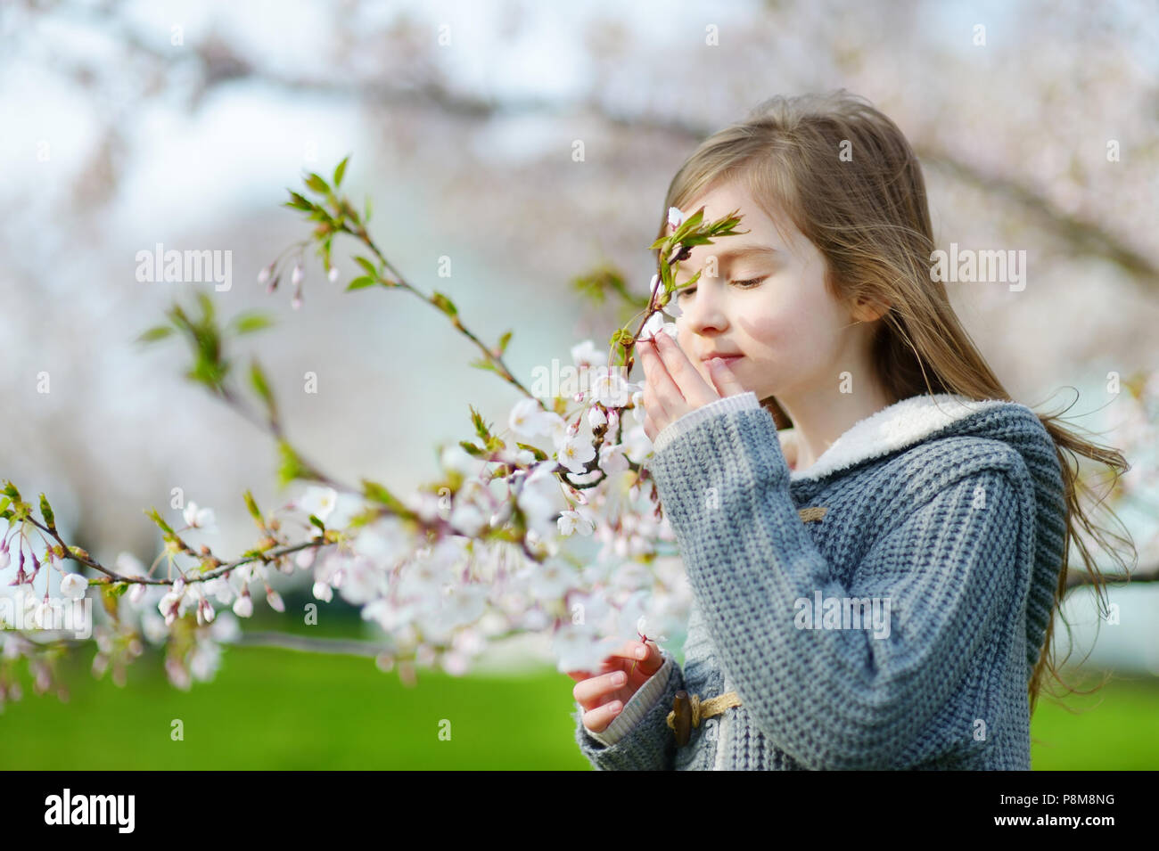 Adorable little girl in blooming cherry garden on beautiful spring day ...